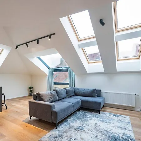 Loft 1 Bd Castle With Free Parking Butas