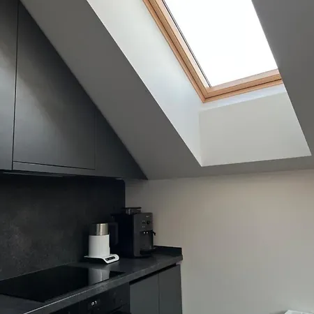 Loft 1 Bd Castle With Free Parking Kowno