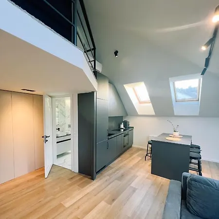 Loft 1 Bd Castle With Free Parking * Kaunas