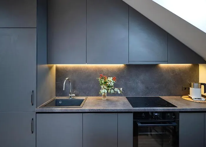 Loft 1 Bd Castle With Free Parking *