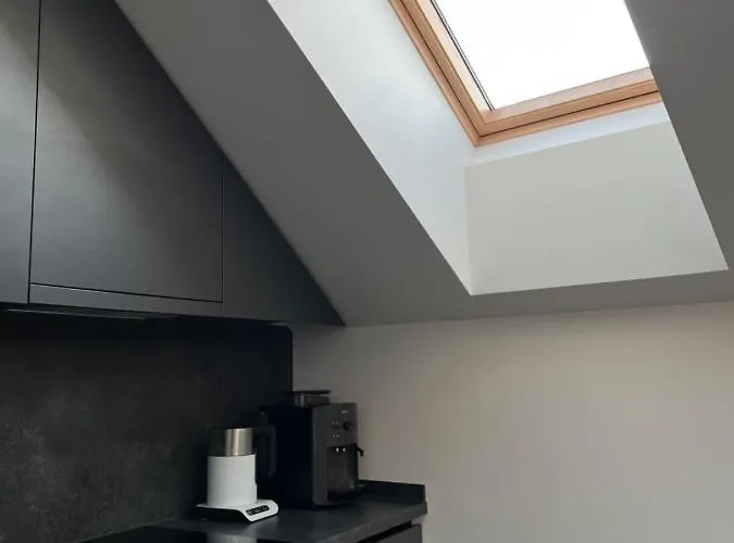 Loft 1 Bd Castle With Free Parking Kaunas