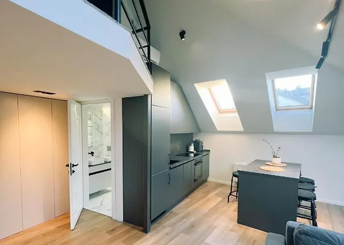 Loft 1 Bd Castle With Free Parking * Kaunas